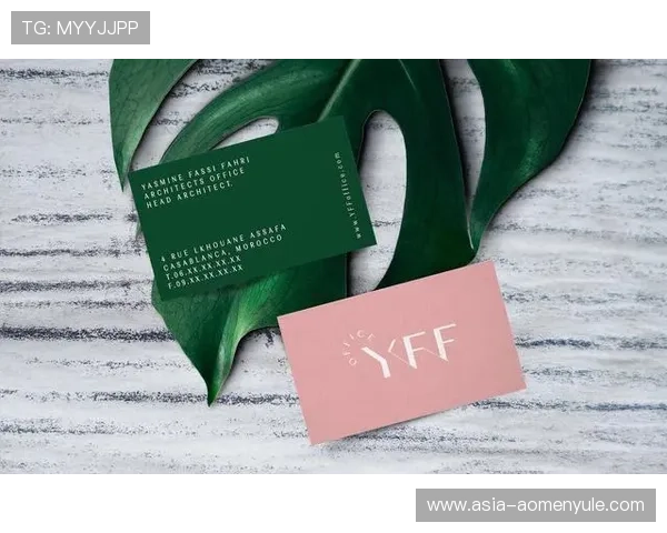 新豪官网客户评价与用户体验分享真实反馈助你做出明智选择 新豪官网客户评价与用户体验分享真实反馈助你做出明智选择