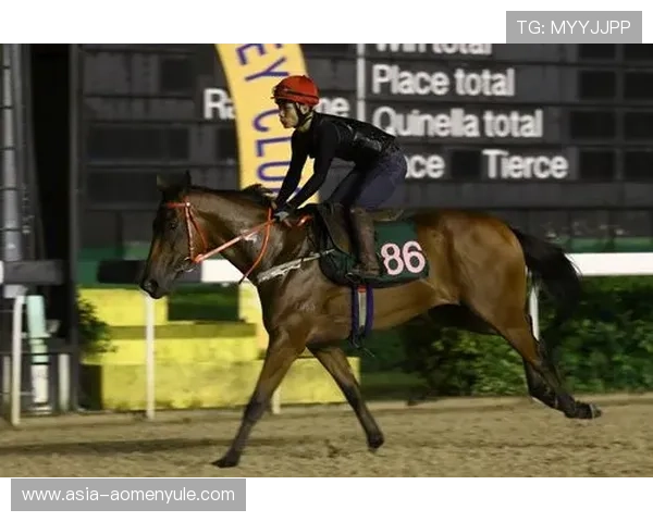 澳门赛马最新赛事直播，实时掌握赛场最新动态