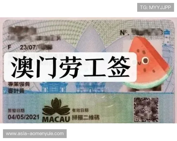 新澳门官网地址更新公告，详细说明新网址的访问指南与常见问题解答