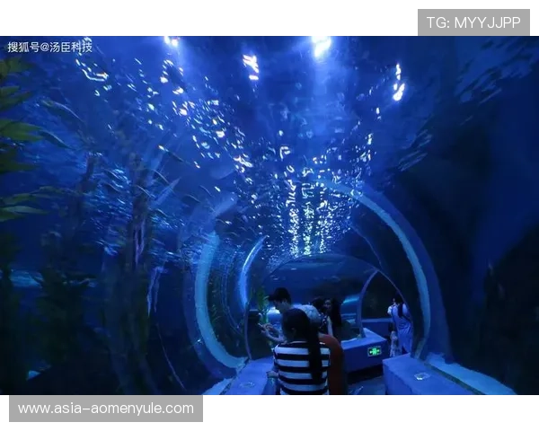 海洋之神入口：开启神秘海底世界的奇幻之旅