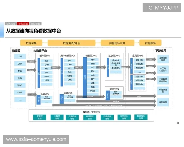 汇彩控股有限公司在数字化转型中的实施方案与优化建议